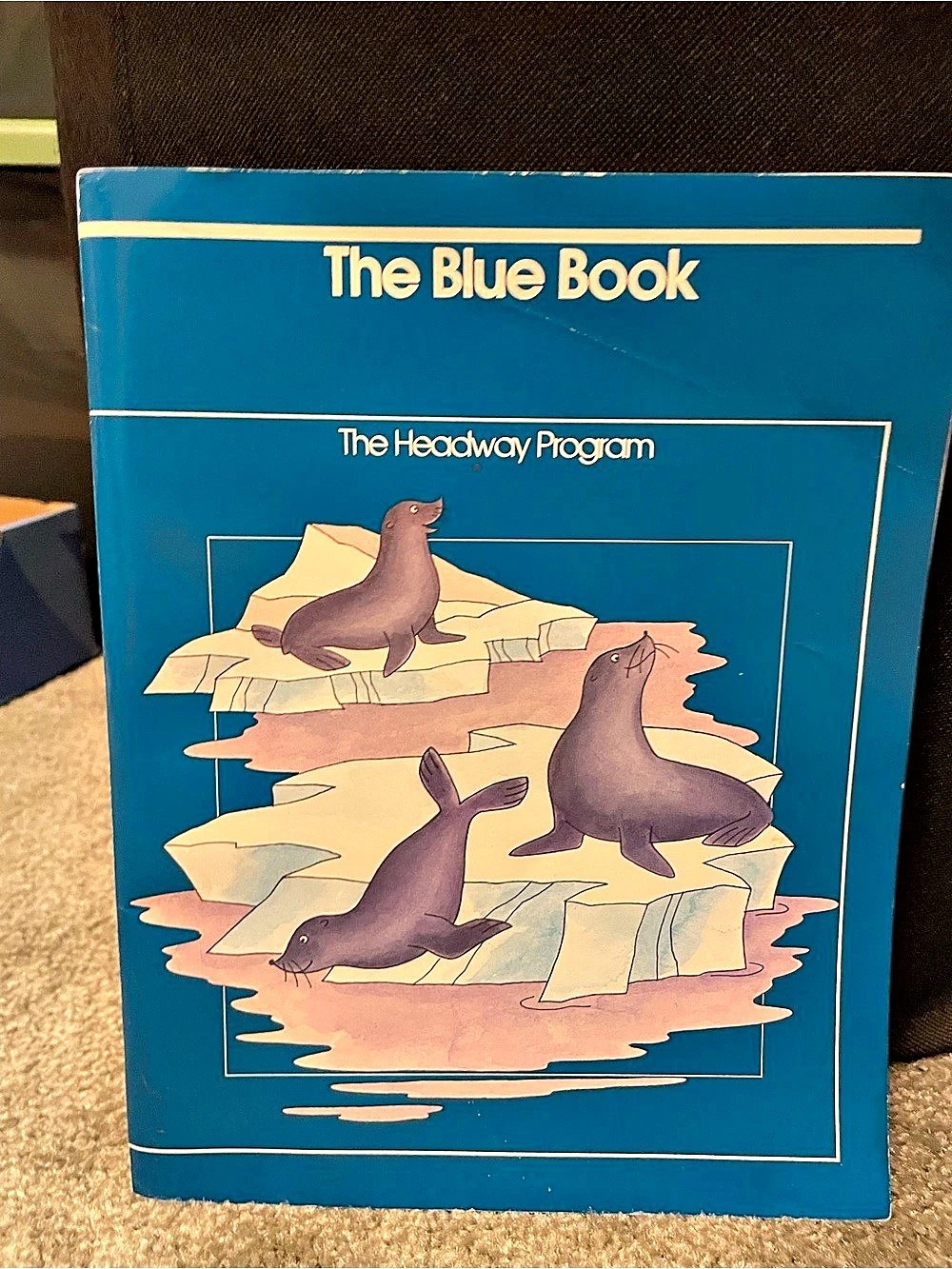 Open Court Publishing Company The Blue Book: The Headway Program Handwriting